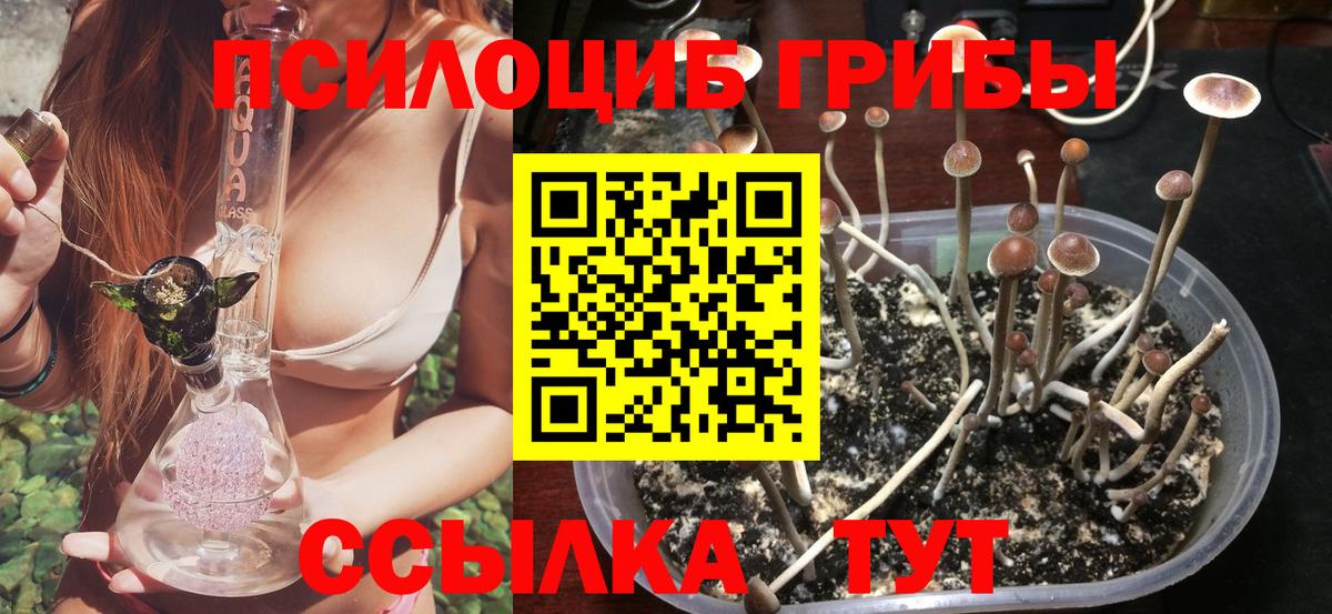 Псилоцибиновые грибы мицелий Чебоксары